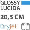 DryJet Glossy 250g 20,3 cm x 65mt DigiPaper carta per minilab confezione da 2 rotoli