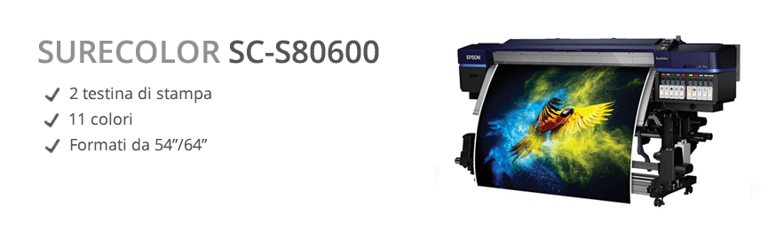sc-s80600